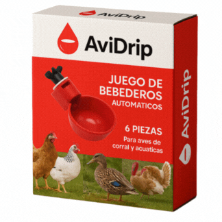 Bebedero Para Aves