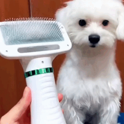 PetCare® Cepillo Secador Silencioso para Mascotas – Homexpress