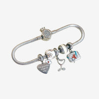 Aurora® Pulsera tipo Pandora + 5 Charms Gratis