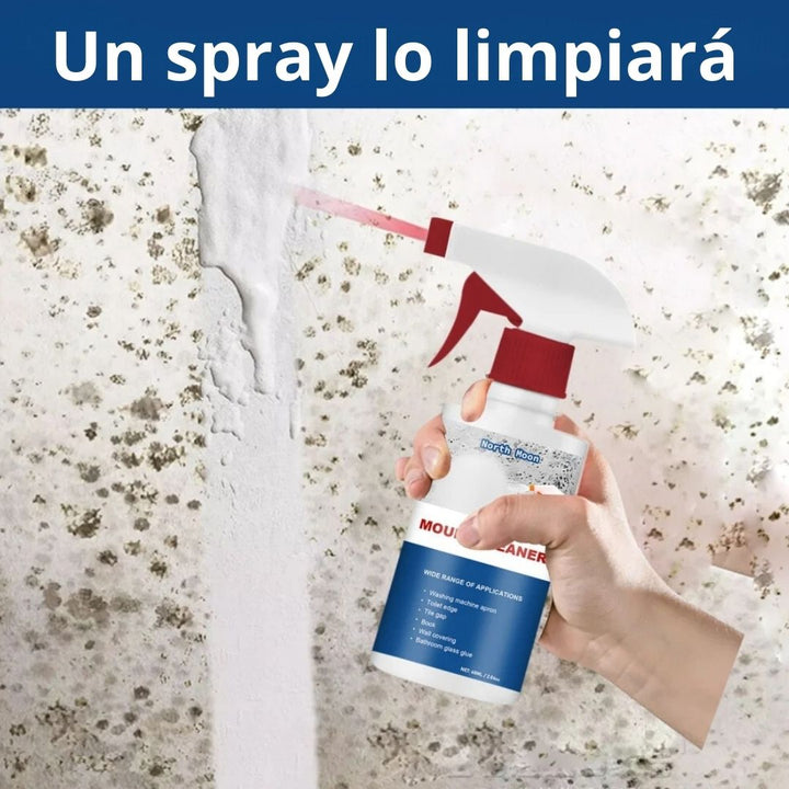 CleanMold®-Spray Quita Moho