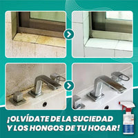 CleanMold®-Spray Quita Moho