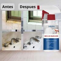 CleanMold®-Spray Quita Moho