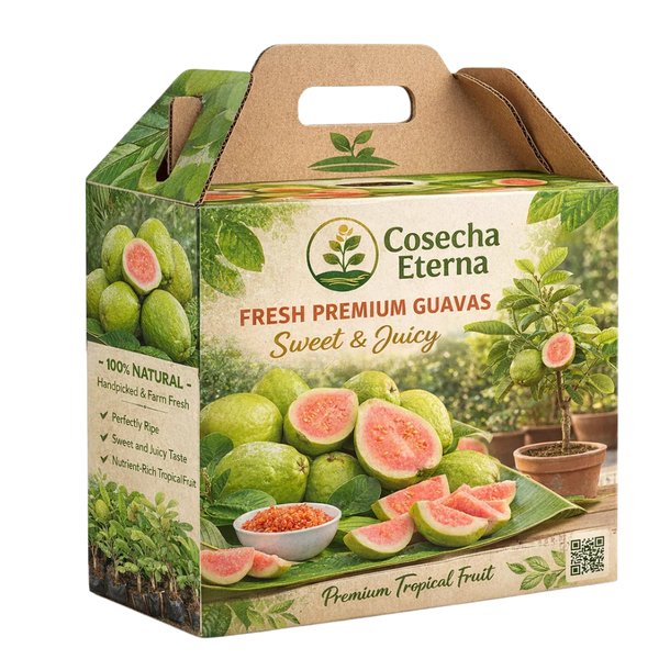 Árbol De Guayaba Cosecha Eterna