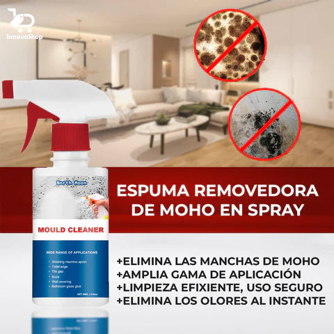 CleanMold®-Spray Quita Moho