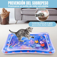 Catcher® Alfombra Sensorial Antiestrés para Gatos