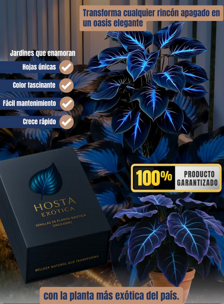Pack de 500 Semillas de Planta Hosta Exotica 2.0