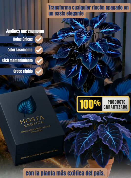 Pack de 500 Semillas de Planta Hosta Exotica 2.0