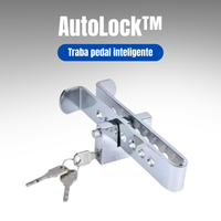 AutoLock™ Dispositivo Antirrobo para Autos + 3 Llaves de Repuesto